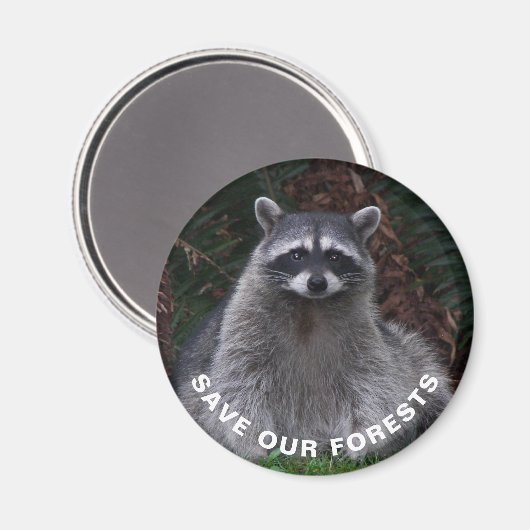 ラクーン野生生物写真森林保護 マグネット (正面/裏面)