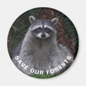 ラクーン野生生物写真森林保護 マグネット (正面)