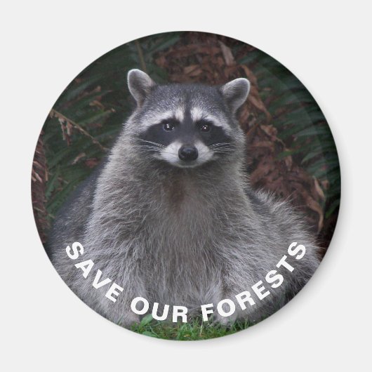 ラクーン野生生物写真森林保護 マグネット (正面)