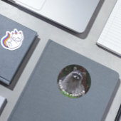 ラクーン野生生物写真森林保護 ラウンドシール