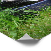 ラクーン飲料プリント ポスター (角)