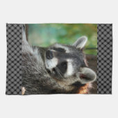 ラクーン001 キッチンタオル (横)