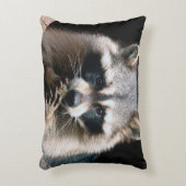 ラクーン004 アクセントクッション (正面(垂直))