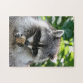 ラクーン004 ジグソーパズル (横)