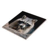 ラクーン004 タイル (側面)