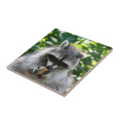 ラクーン004 タイル (側面)