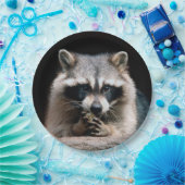 ラクーン004 ペーパープレート (パーティー)