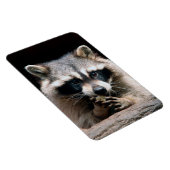 ラクーン004 マグネット (右側)