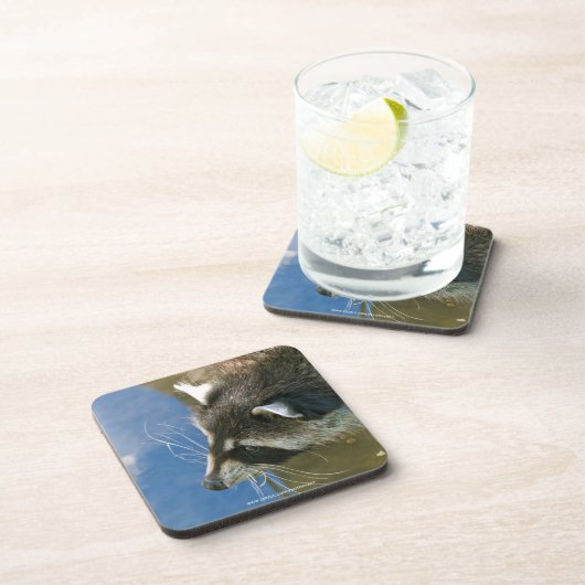 ラクーン コースター (右側)