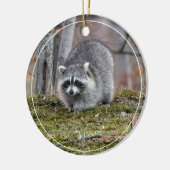 ラクーン セラミックオーナメント (左)