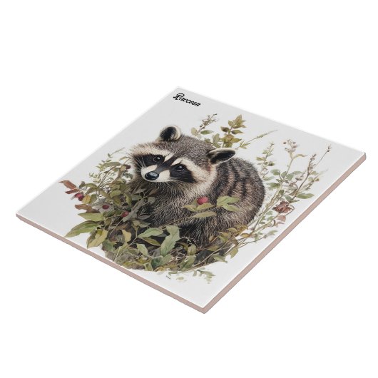 ラクーン タイル (側面)