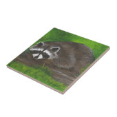 ラクーン タイル (側面)