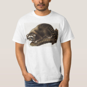 ラクーン（プロキオンローター）イラストレーション Tシャツ