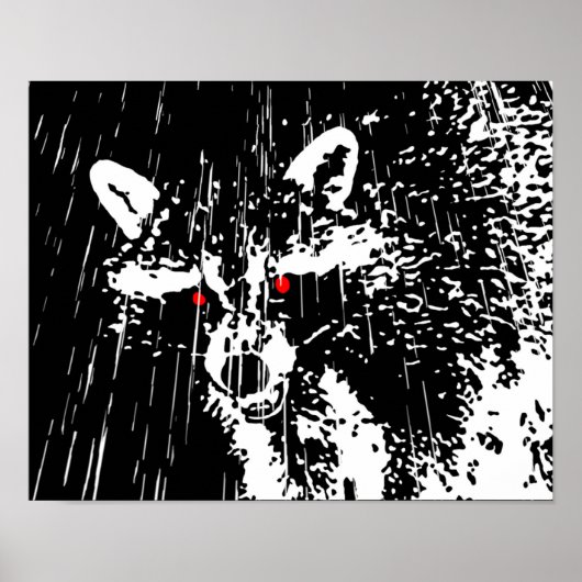 ラクーン ポスター (正面)