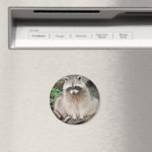 ラクーン マグネット (インサイチュ (食洗機))