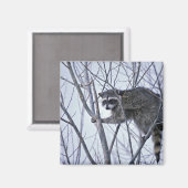 ラクーン マグネット (正面/裏面)