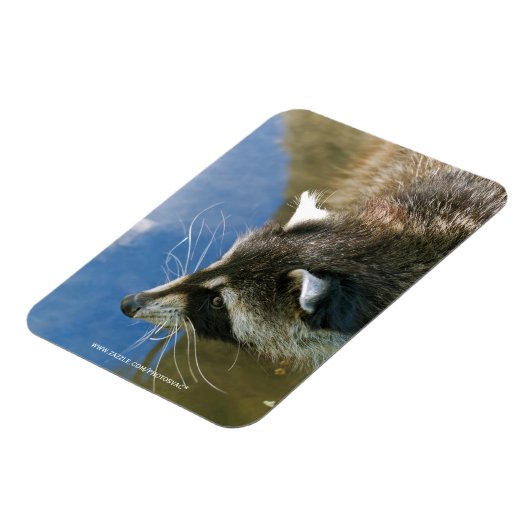 ラクーン マグネット (左側)