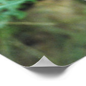 ラクーン#2 ポスター (角)