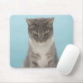 ラグの上のおもちゃマウスを見ている猫 マウスパッド (マウス)