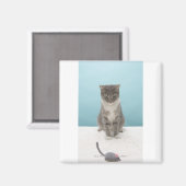 ラグの上のおもちゃマウスを見ている猫 マグネット (正面/裏面)