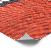 ラグの豊かさ：メキシコのペルー質感 ポスター (角)