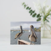 ラグアンチャエンポンセ ポストカード (スタンド正面)