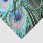 ラグジュアスボホエレガントティール（緑がかった色）ピーコックフェザーズ 薄葉紙 (詳細)