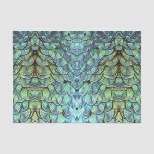 ラグジュアリーエレガントティール(緑がかった色)ピーコックバックフェザー 薄葉紙 (正面)