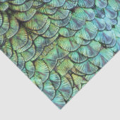 ラグジュアリーエレガントティール(緑がかった色)ピーコックバックフェザー 薄葉紙 (詳細)