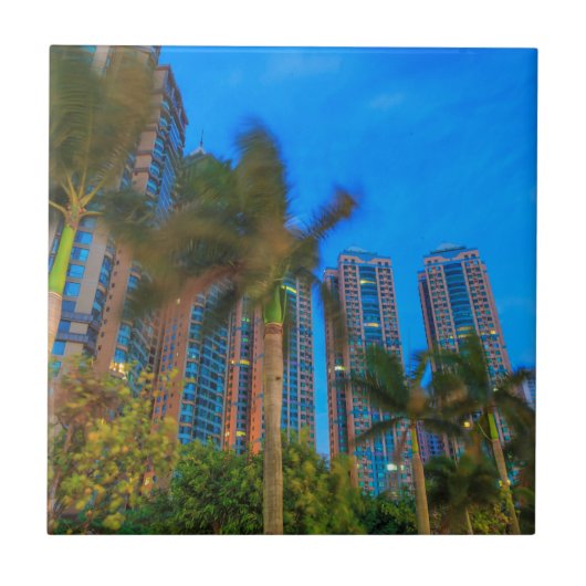 ラグジュアリーコンドミニアムズイン中国 タイル (正面)