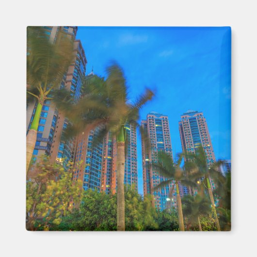 ラグジュアリーコンドミニアムズイン中国 マグネット (正面)