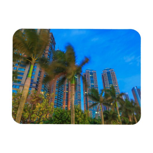 ラグジュアリーコンドミニアムズイン中国 マグネット (横)