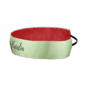 ラグジュアリーミントグリーン美しいサロン アスレチックヘッドバンド (右)