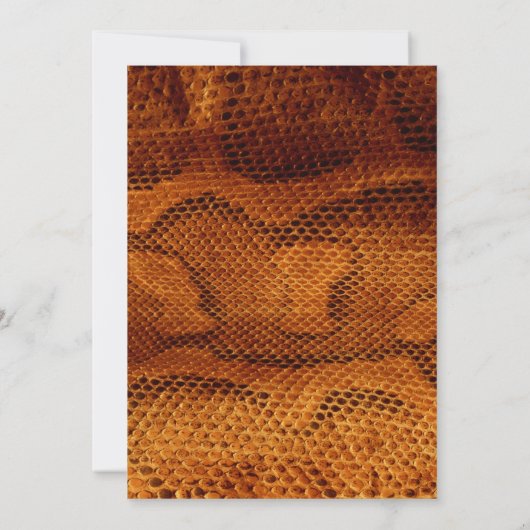 ラグジュアリーワイルドスネークスキン動物ブライダルシャワー 招待状 (裏面)