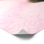 ラグドールのキットポスター ポスター (角)