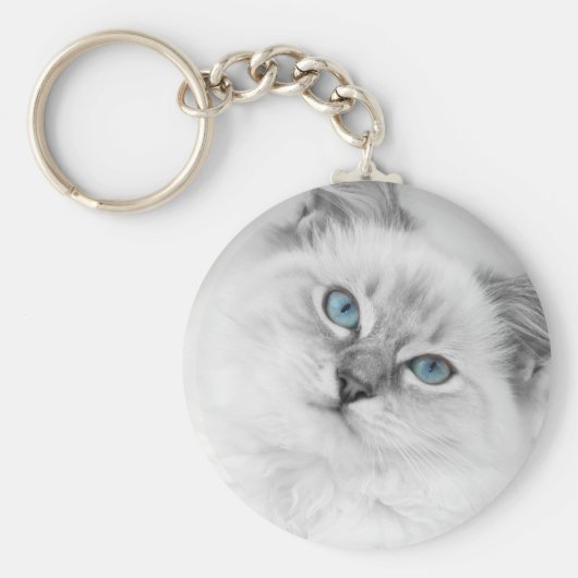 ラグドールのキーホルダー キーホルダー (正面)