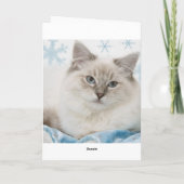 ラグドールのクリスマスカード シーズンカード (裏面)