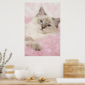 ラグドールのポスター ポスター (キッチン)