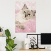 ラグドールのポスター ポスター (ホームオフィス)