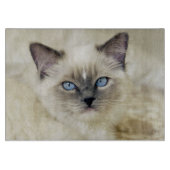 ラグドールの子猫 カッティングボード (正面)