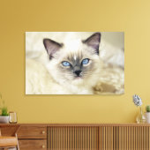 ラグドールの子猫 キャンバスプリント (インサイチュ (リビング))