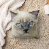 ラグドールの子猫 クッション (ブランケット)
