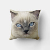 ラグドールの子猫 クッション (裏面)