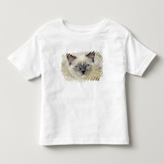 ラグドールの子猫 トドラーTシャツ (正面)