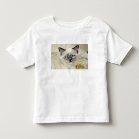 ラグドールの子猫 トドラーTシャツ (正面)