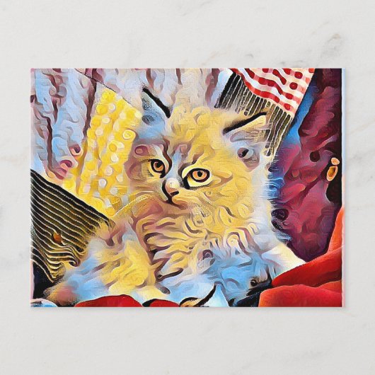 ラグドールの子猫 ポストカード (正面)