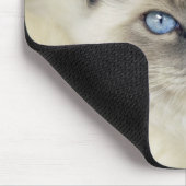 ラグドールの子猫 マウスパッド (コーナー)