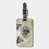 ラグドールの子猫 ラゲッジタグ (正面縦)