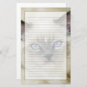 ラグドールの子猫 便箋 (正面/裏面)