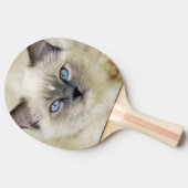 ラグドールの子猫 卓球ラケット (横)